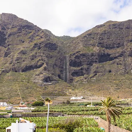 Live La Caleta Monteverde 1