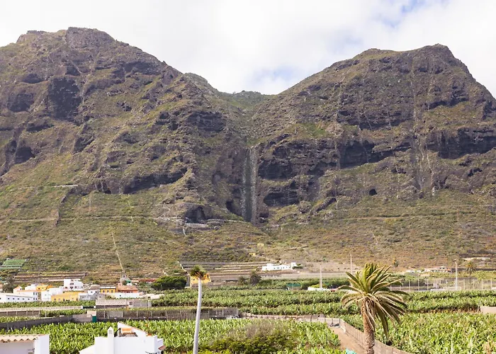 Live La Caleta Monteverde 1